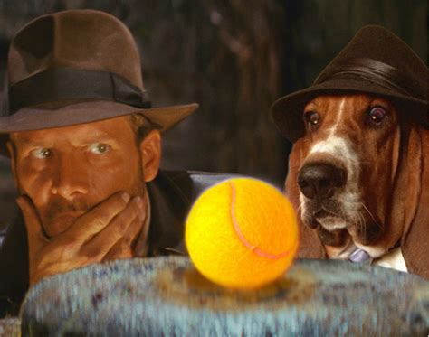 basset movies|Famous Basset Hounds In Movies .